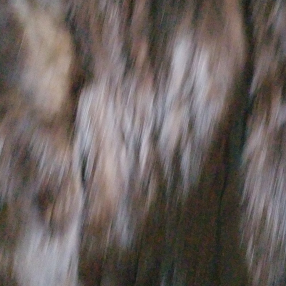 Mink coat - Picture 2 of 4